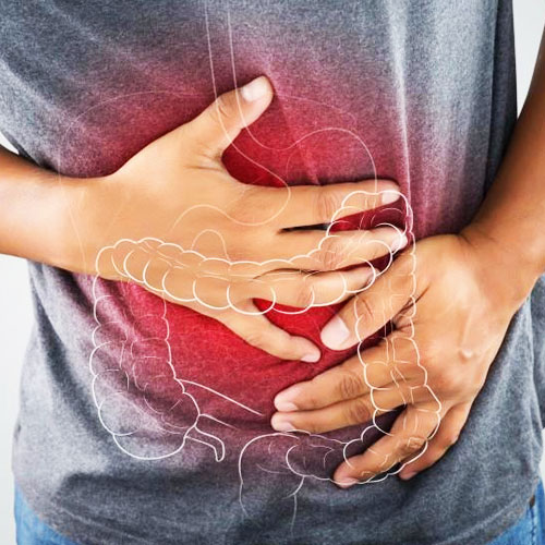 Gut Health
